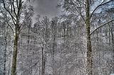 landgrafenschlucht-17-01-16-100