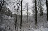 landgrafenschlucht-17-01-16-101
