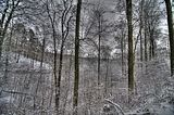 landgrafenschlucht-17-01-16-102