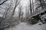 landgrafenschlucht-17-01-16-103