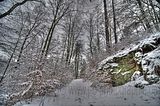landgrafenschlucht-17-01-16-104