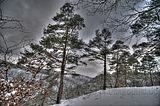 landgrafenschlucht-17-01-16-108