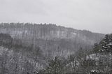 landgrafenschlucht-17-01-16-111