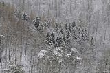 landgrafenschlucht-17-01-16-113