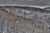 landgrafenschlucht-17-01-16-116