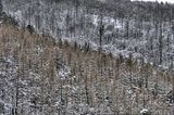 landgrafenschlucht-17-01-16-118
