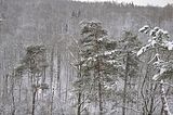 landgrafenschlucht-17-01-16-119