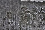 landgrafenschlucht-17-01-16-120