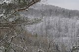 landgrafenschlucht-17-01-16-121