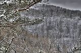 landgrafenschlucht-17-01-16-122
