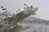 landgrafenschlucht-17-01-16-123