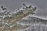 landgrafenschlucht-17-01-16-124