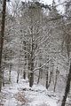 landgrafenschlucht-17-01-16-125