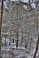 landgrafenschlucht-17-01-16-126