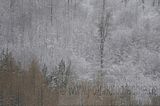landgrafenschlucht-17-01-16-127