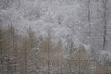 landgrafenschlucht-17-01-16-129