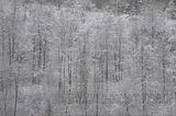 landgrafenschlucht-17-01-16-131