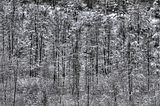 landgrafenschlucht-17-01-16-132