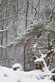 landgrafenschlucht-17-01-16-133
