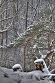landgrafenschlucht-17-01-16-134