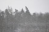 landgrafenschlucht-17-01-16-135