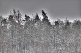 landgrafenschlucht-17-01-16-136