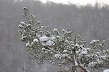 landgrafenschlucht-17-01-16-137