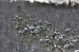 landgrafenschlucht-17-01-16-138