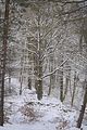 landgrafenschlucht-17-01-16-141