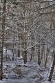 landgrafenschlucht-17-01-16-142