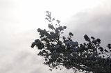 landgrafenschlucht-17-01-16-143
