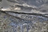 landgrafenschlucht-17-01-16-148