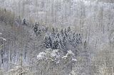 landgrafenschlucht-17-01-16-151