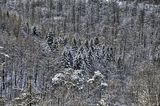 landgrafenschlucht-17-01-16-152