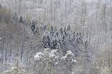 landgrafenschlucht-17-01-16-153