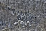 landgrafenschlucht-17-01-16-154