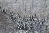 landgrafenschlucht-17-01-16-155