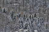 landgrafenschlucht-17-01-16-156