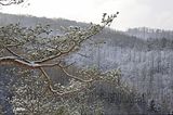 landgrafenschlucht-17-01-16-157