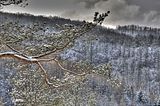 landgrafenschlucht-17-01-16-158