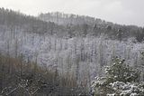 landgrafenschlucht-17-01-16-159