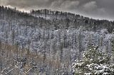 landgrafenschlucht-17-01-16-160