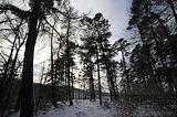 landgrafenschlucht-17-01-16-161