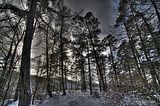 landgrafenschlucht-17-01-16-162