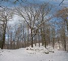 landgrafenschlucht-17-01-16-163