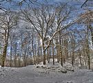 landgrafenschlucht-17-01-16-164