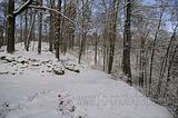 landgrafenschlucht-17-01-16-165