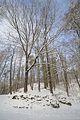 landgrafenschlucht-17-01-16-167