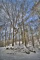 landgrafenschlucht-17-01-16-168