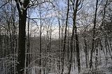 landgrafenschlucht-17-01-16-169
